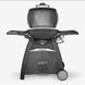 Weber Q 3200 Gas Grill with Stand, Black