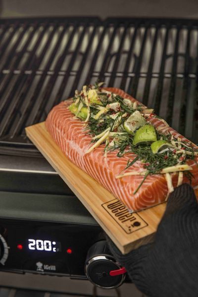 Weber Pulse 2000 Electric Grill