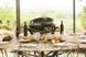 Napoleon TravelQ PRO285 Portable Gas Grill