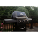 Газовий гриль Broil King Royal 320 Shadow (824253)