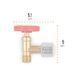 Petromax Regulator Valve for Gas Table